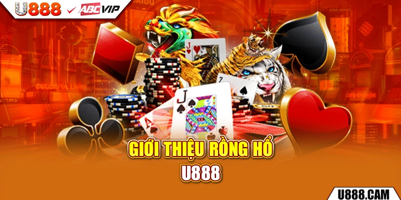 Giới thiệu rồng hổ U888