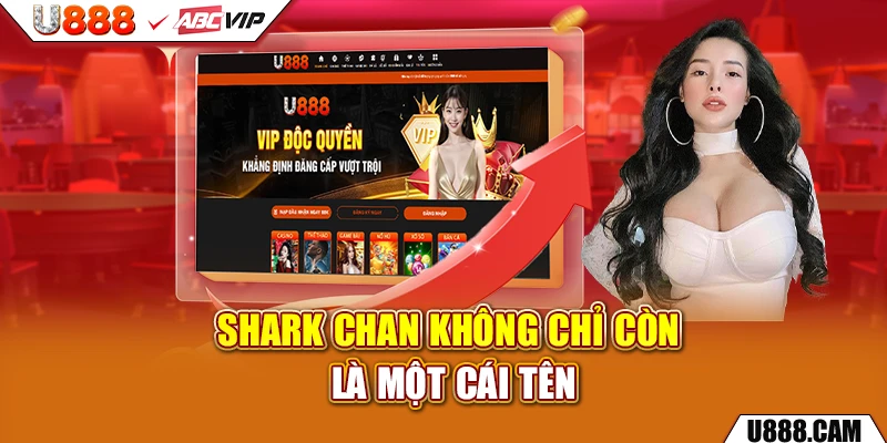 Shark Chan không chỉ còn là một cái tên